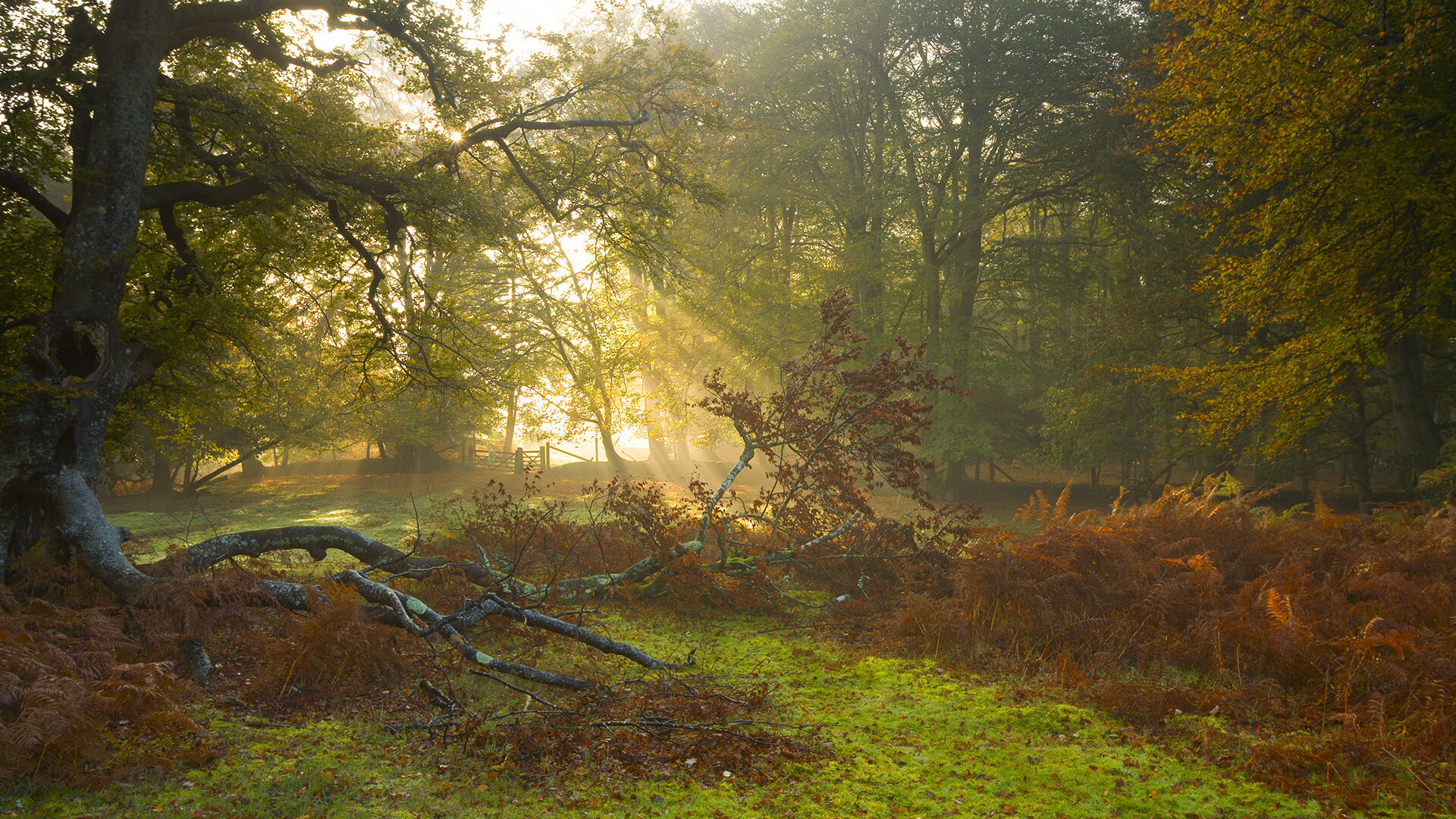 巅峰对决！克罗地亚力克埃及，莫德里奇英超争冠战展现传奇接管力